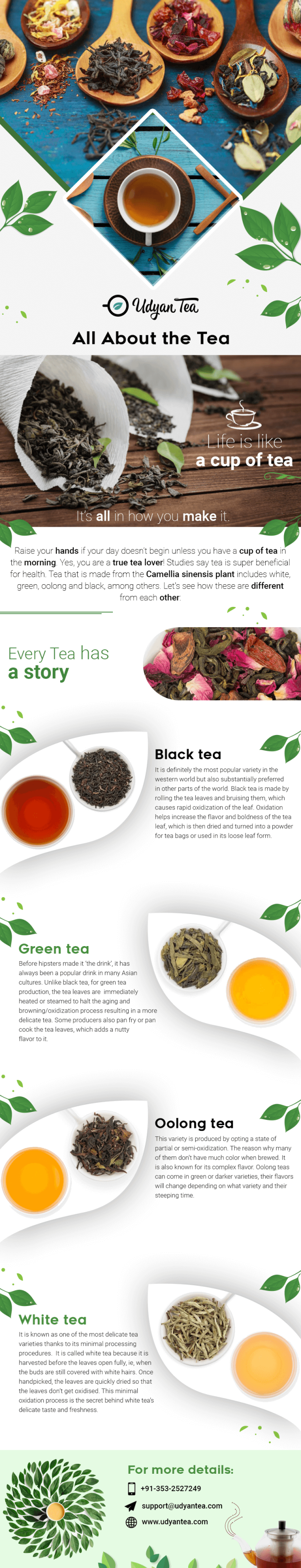 Explain Tea All About the Tea - Everything You Ever Wanted to Know About Tea