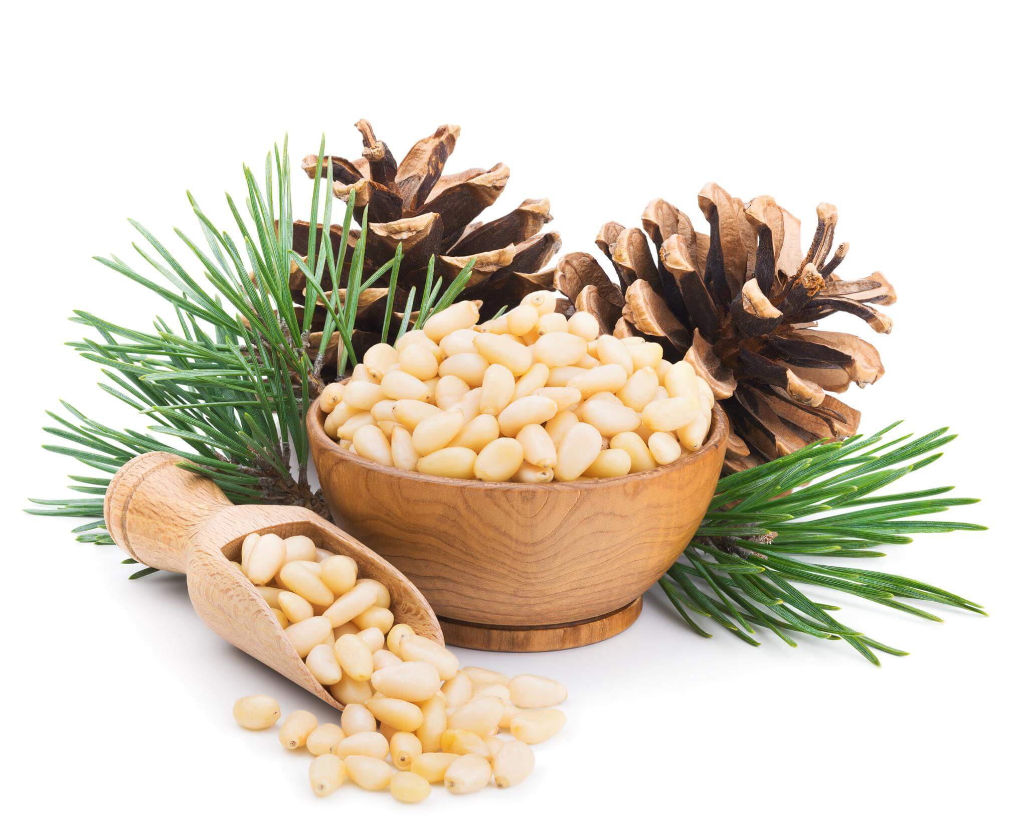 Pine nuts