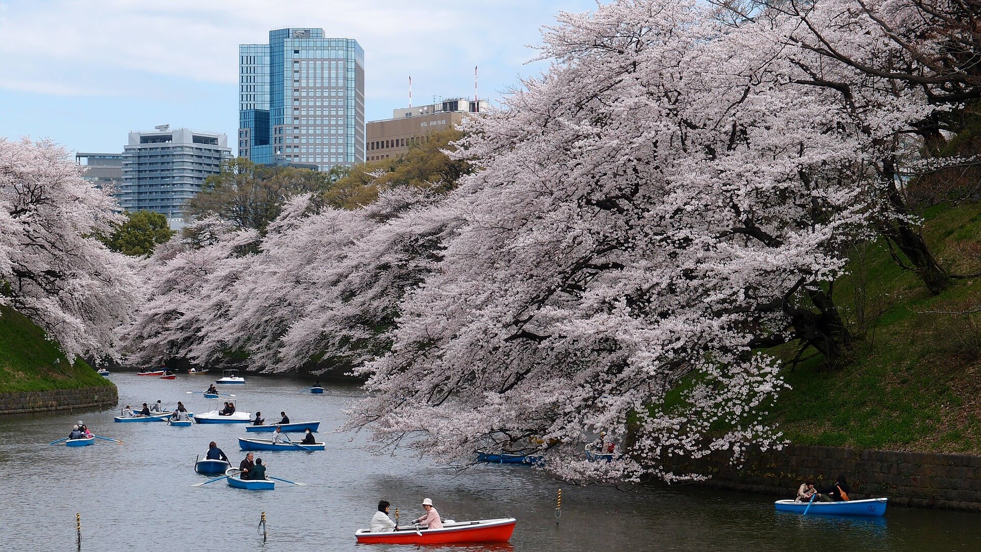 boat-cherry-blossom-park-river-tokyo-japan