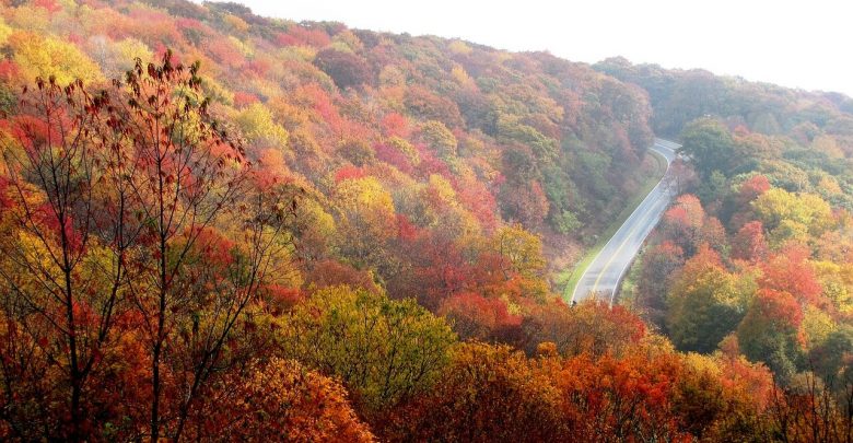 Fun things to do in North Carolina