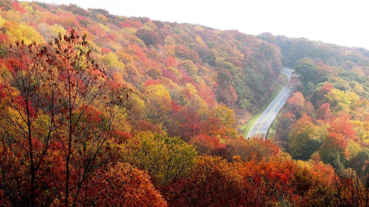 Fun things to do in North Carolina