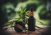 Benefits of Cannabis seeds and oil