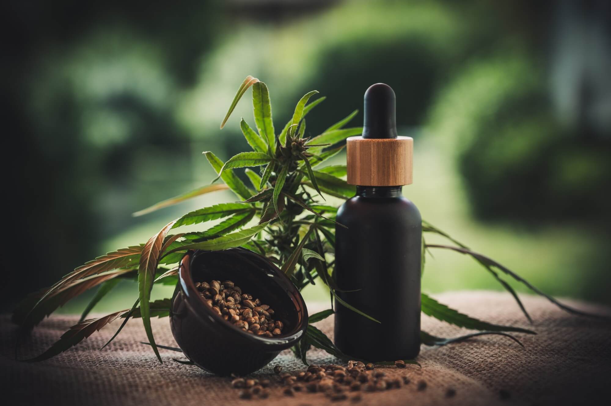 Benefits of Cannabis seeds and oil