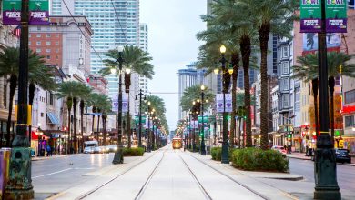 Activities for Kids in New Orleans