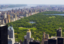 Exploring New York as a Newcomer