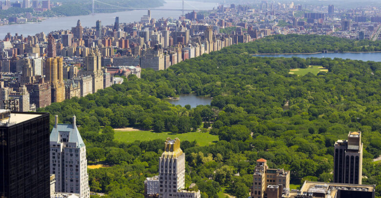 Exploring New York as a Newcomer