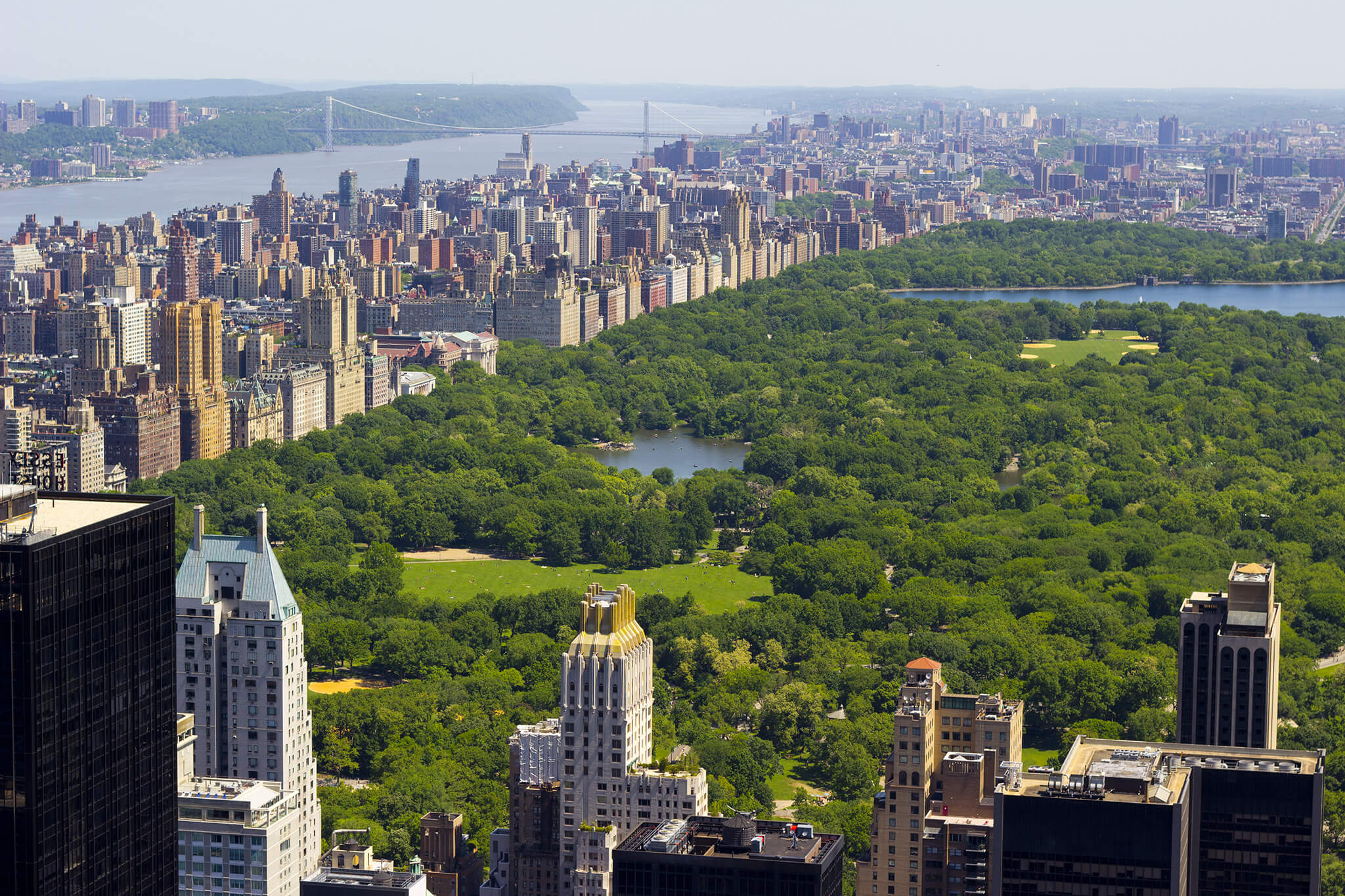 Exploring New York as a Newcomer