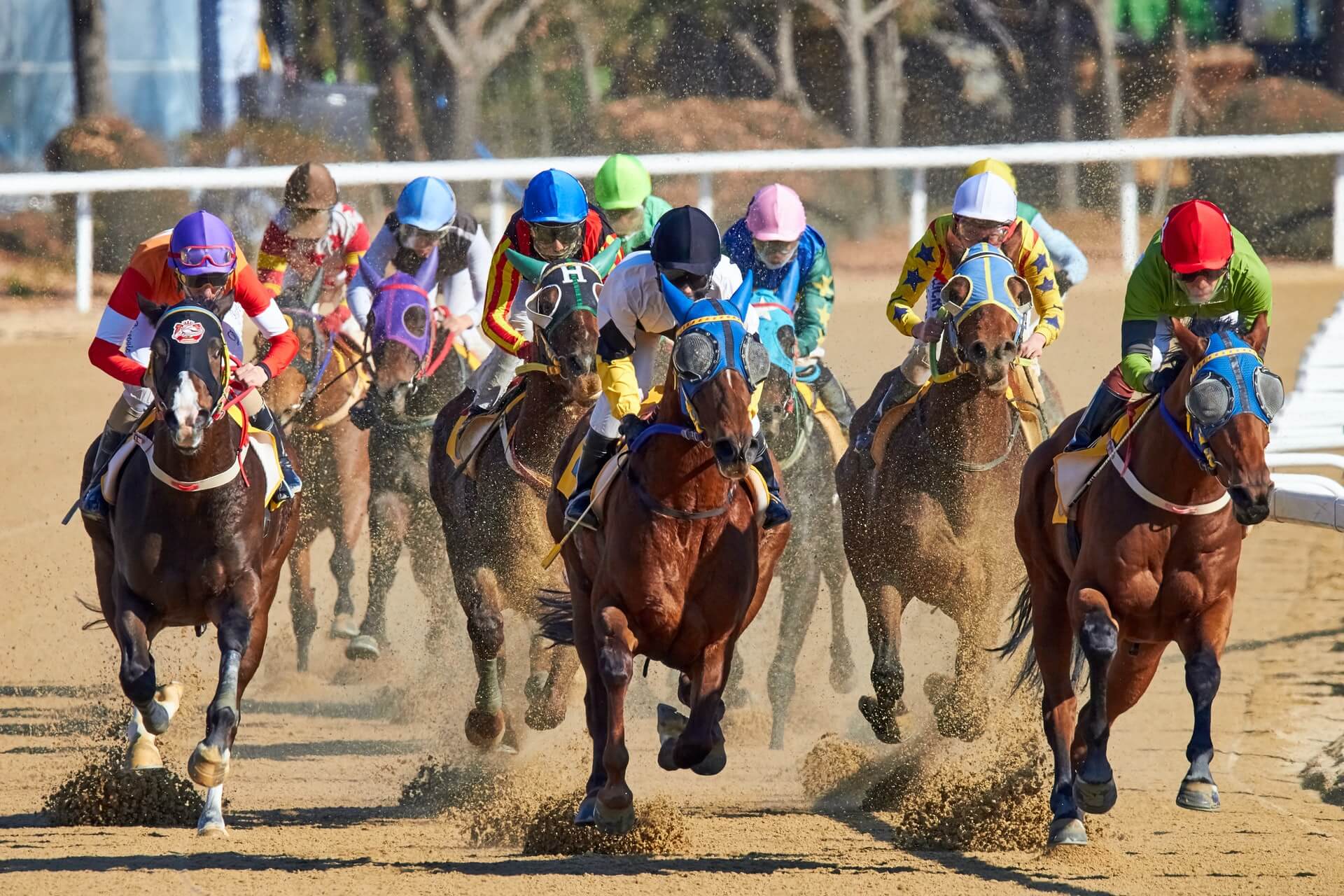 A horse race