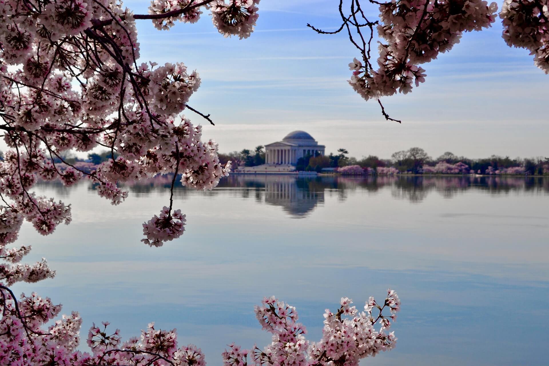 The Tidal Basin