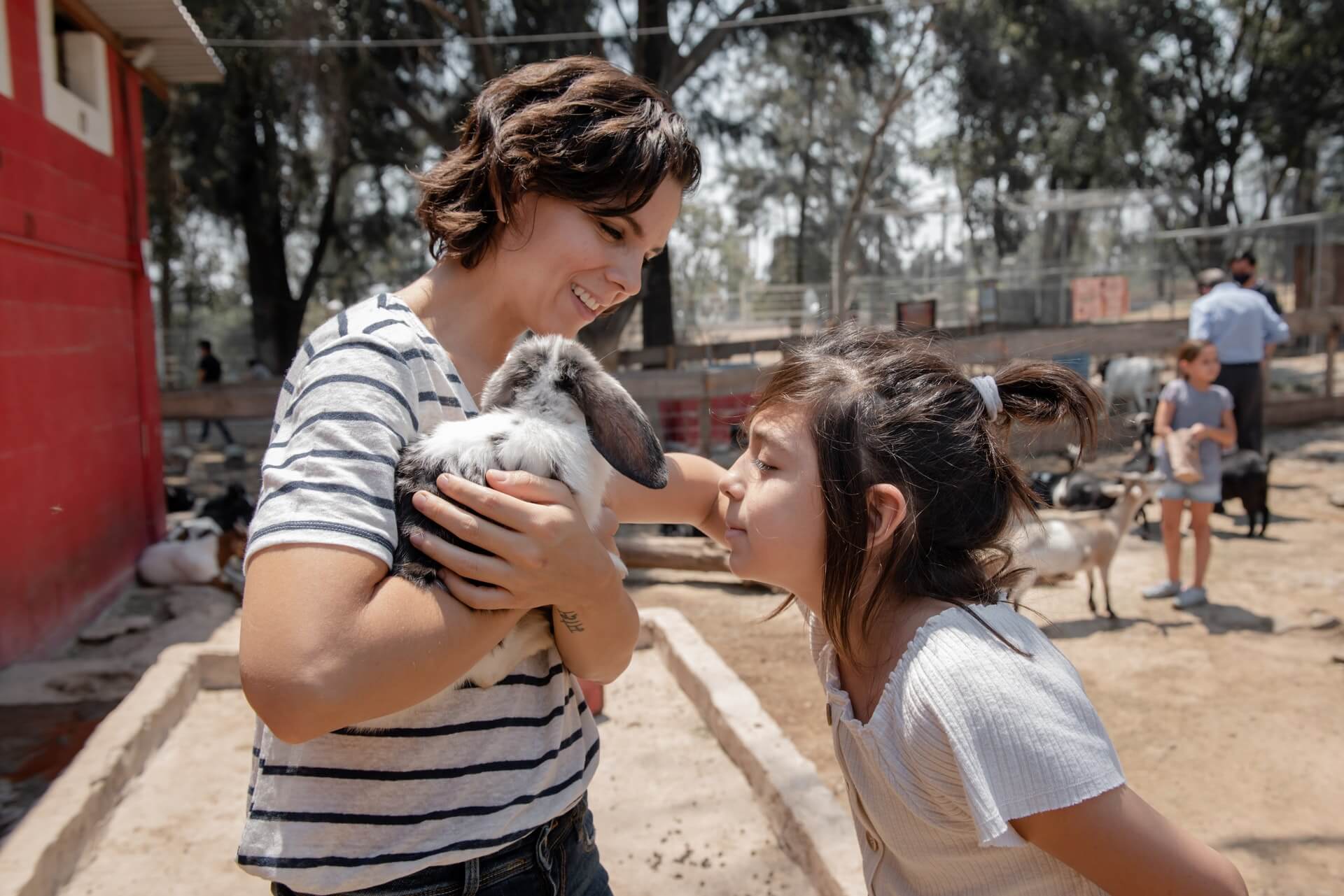 A girl in a zoo trying to pet a rabbit