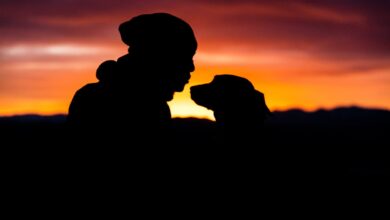 person and his dog enjoying dog friendly activities in Modesto