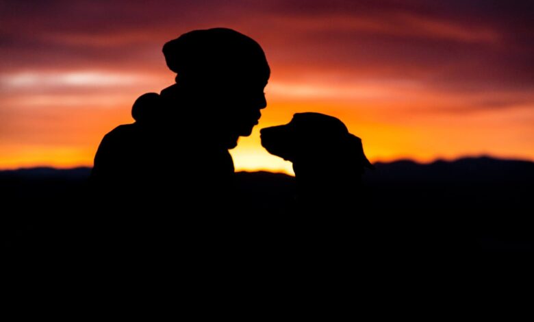 person and his dog enjoying dog friendly activities in Modesto