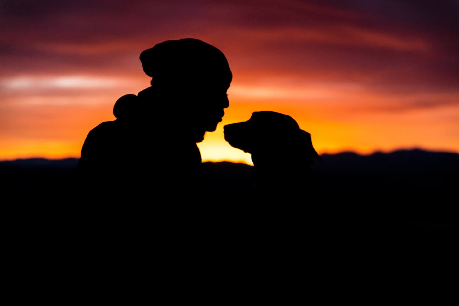 person and his dog enjoying dog friendly activities in Modesto
