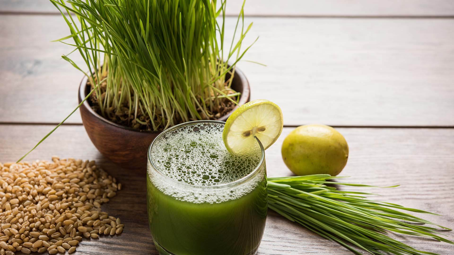 Wheatgrass juice