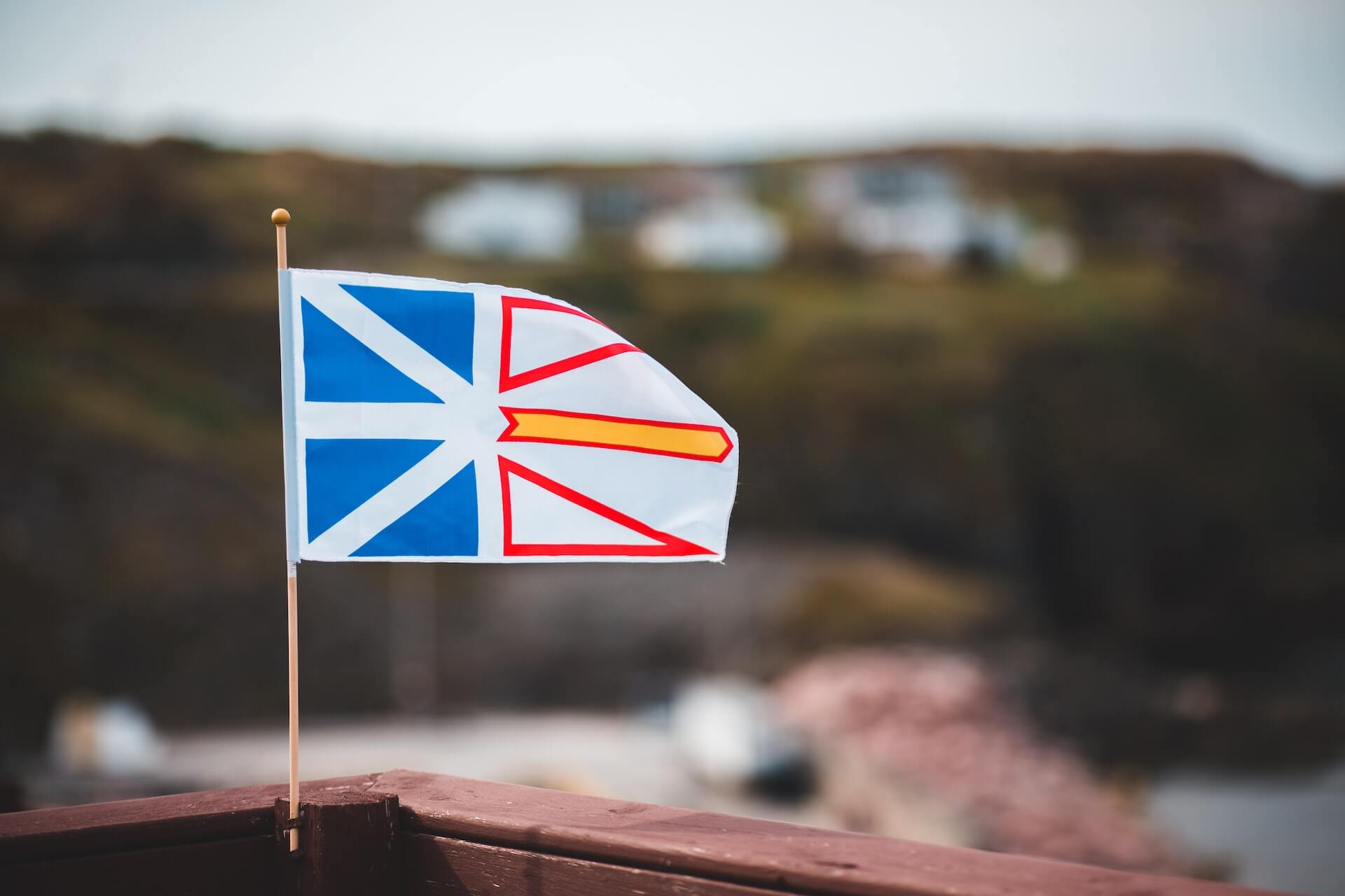 Guide to Embracing the Newfoundland Lifestyle