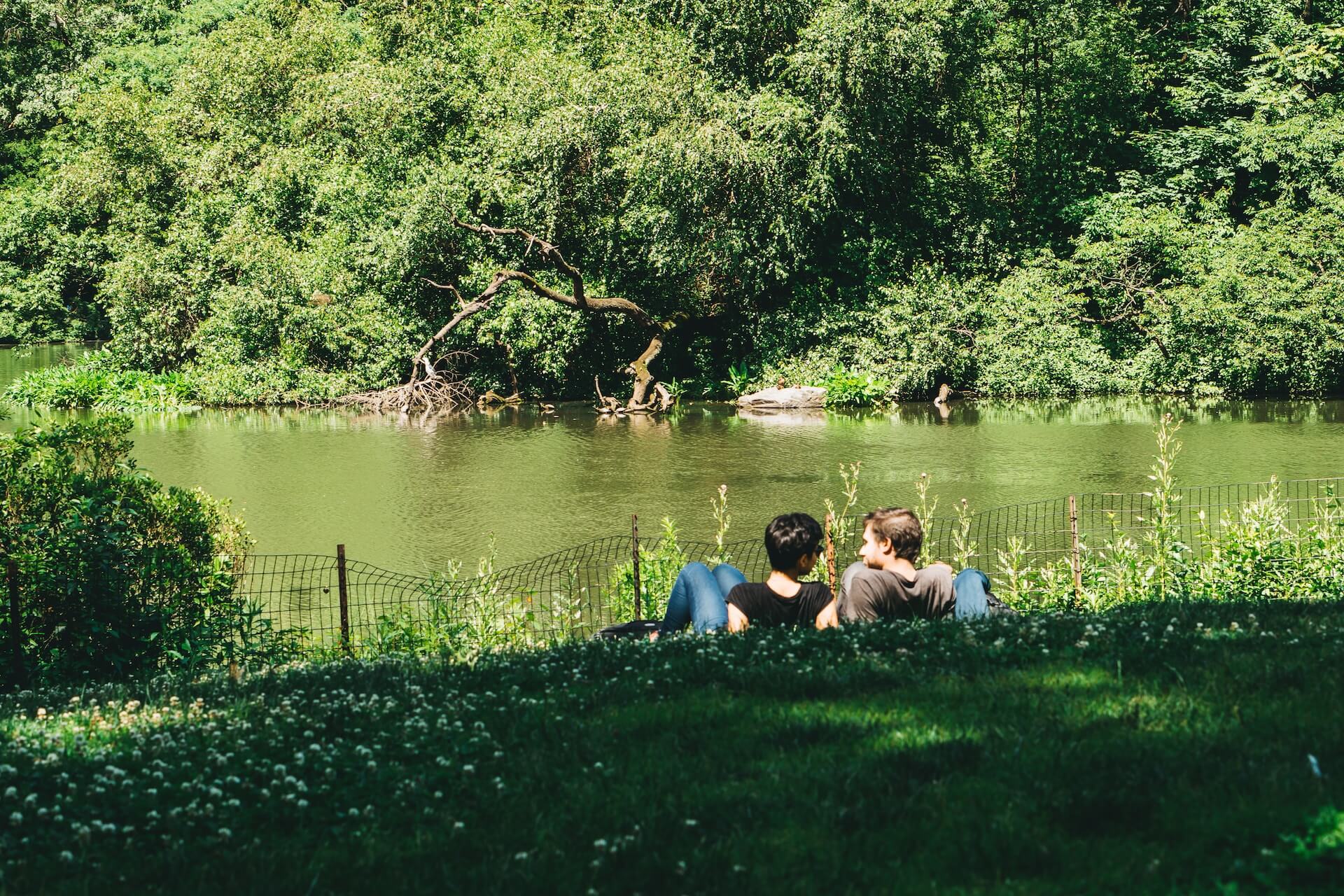 Two people sitting next to a river in a park