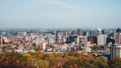Fun Activities to Experience in Montreal