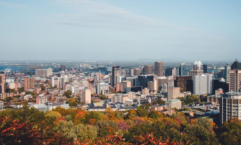 Fun Activities to Experience in Montreal
