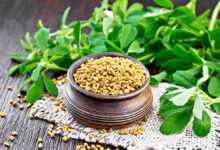 Health Benefits of Fenugreek