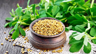 Health Benefits of Fenugreek