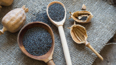 Benefits Of Poppy Seeds