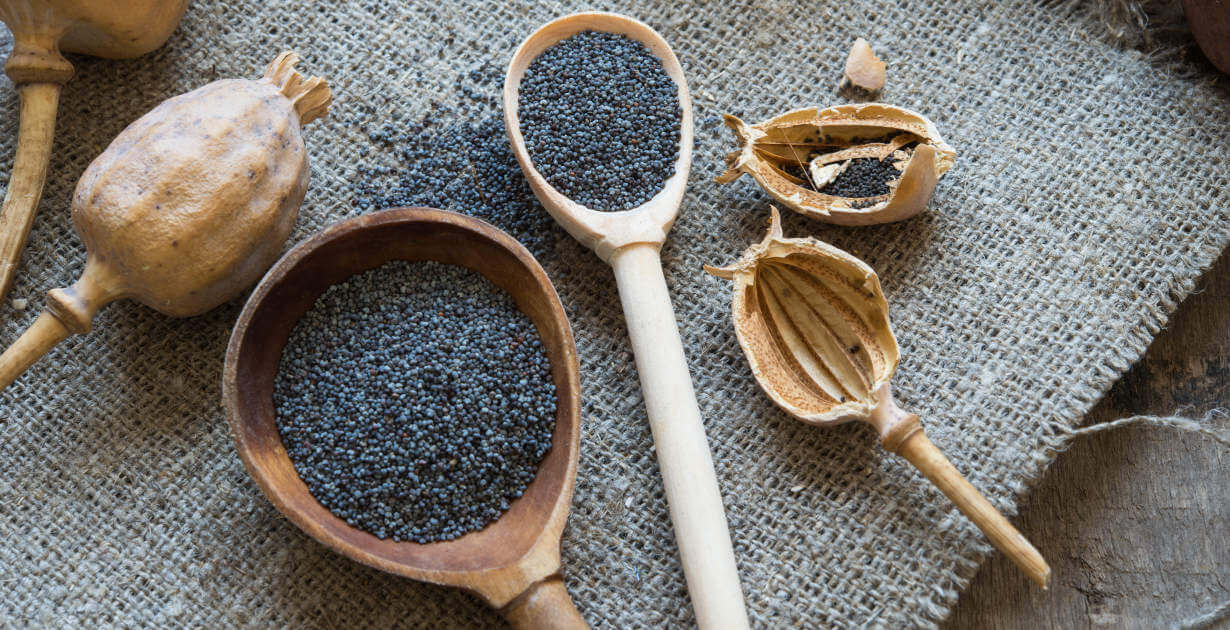 Benefits Of Poppy Seeds