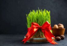 Benefits Of Wheatgrass