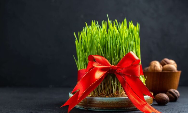 Benefits Of Wheatgrass