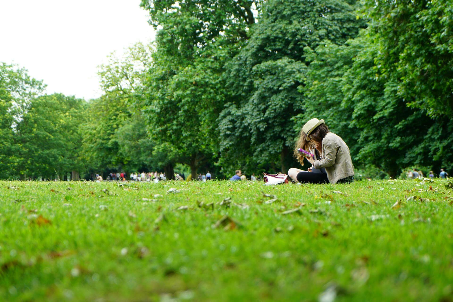 People sitting on the grass in a park