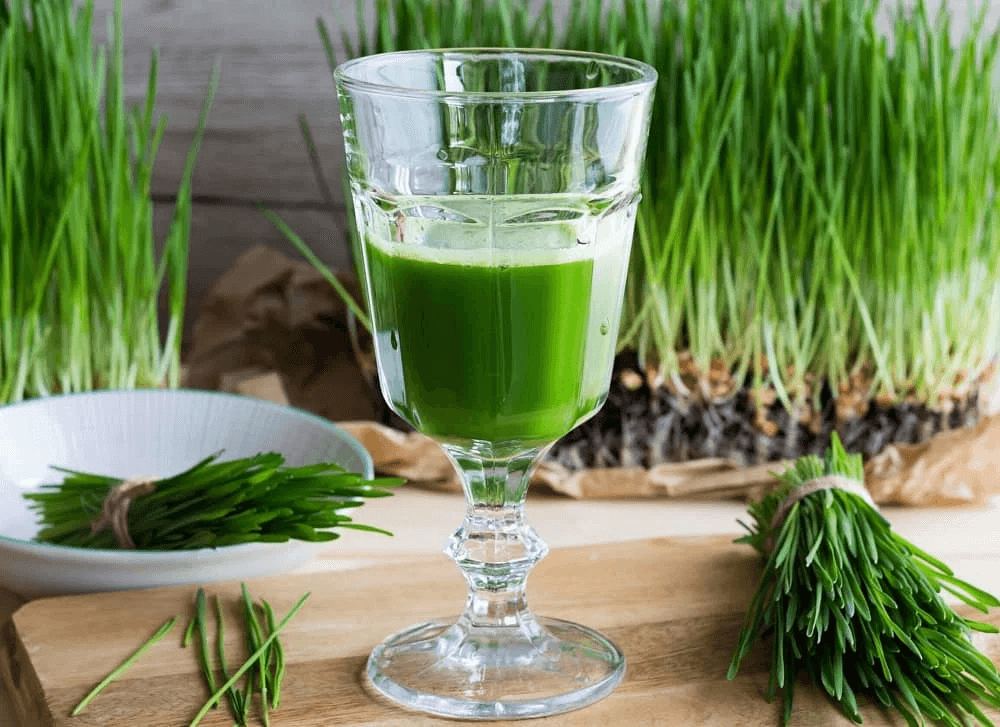 Wheatgrass Juice for Cancer