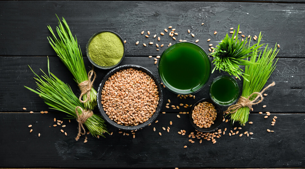 Wheatgrass heal faster