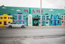 spend the summer in South Miami