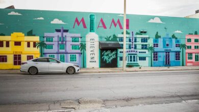 spend the summer in South Miami