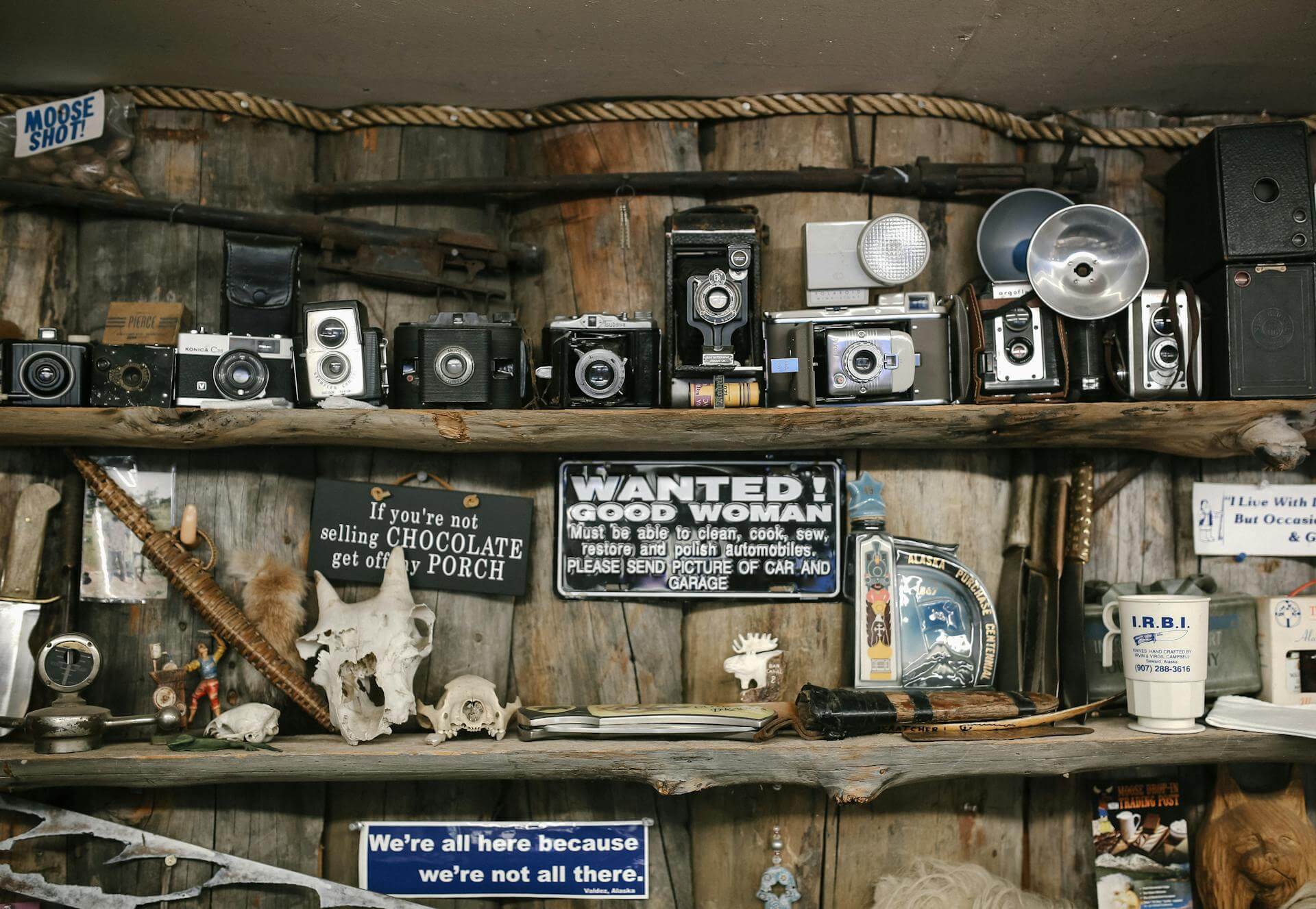 Various antique cameras, metal plaques, and other objects on a display