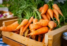 health benefits of carrots